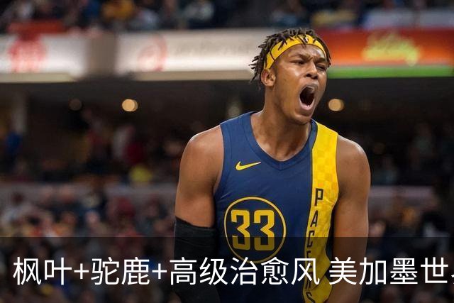 枫叶+驼鹿+高级治愈风 美加墨世界杯加拿大赛区开幕
